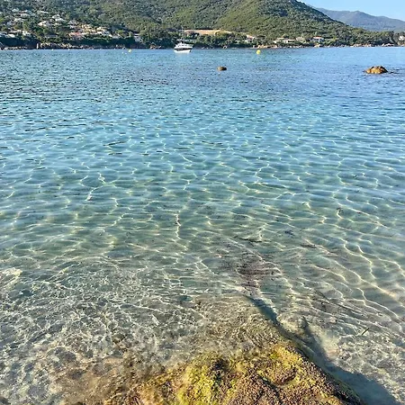 A 2mn De La Du Ruppione *