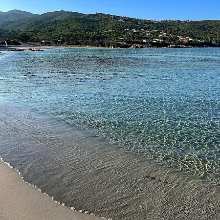 A 2mn De La Du Ruppione Pietrosella