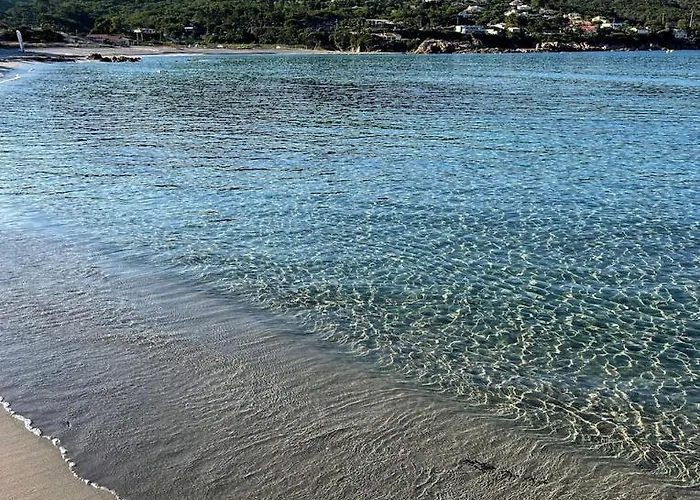 A 2mn De La Du Ruppione Pietrosella